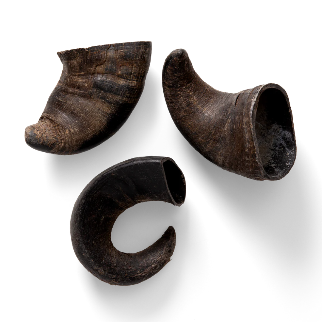 NAW Buffalo Horn Small Dog Treats