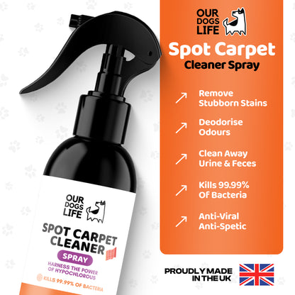 Pet Carpet Spot Cleaner