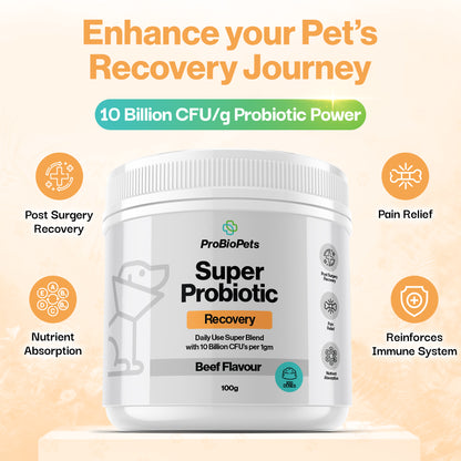 Recovery Probiotic For Pets