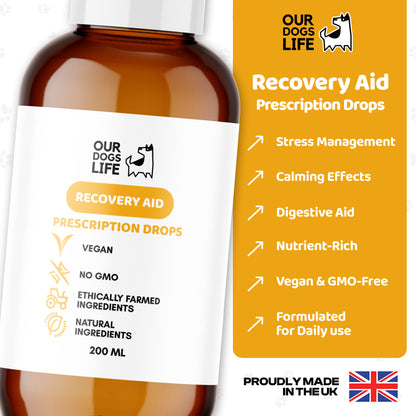 Dog Recovery Supplement Drops