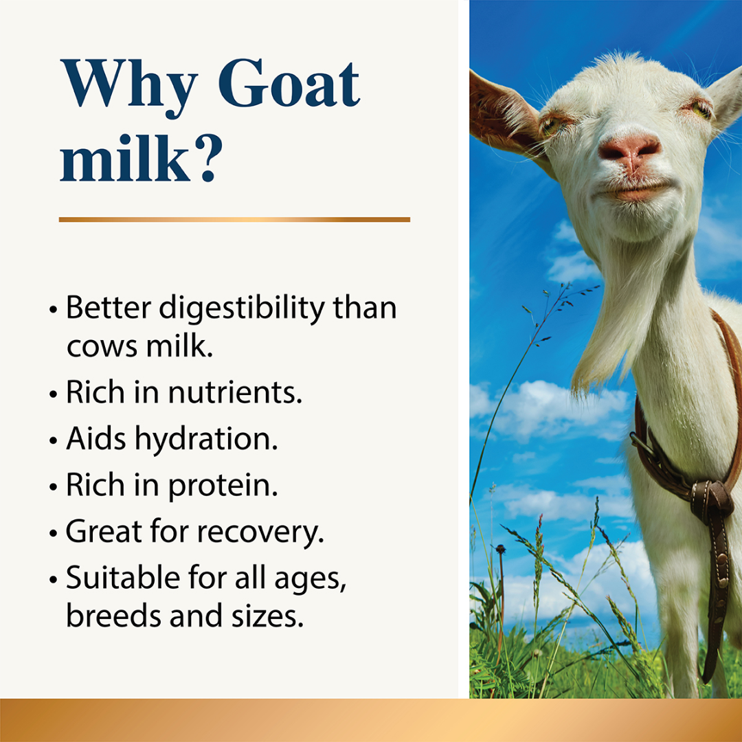Whole Goat Milk Powder for Dogs & Cats