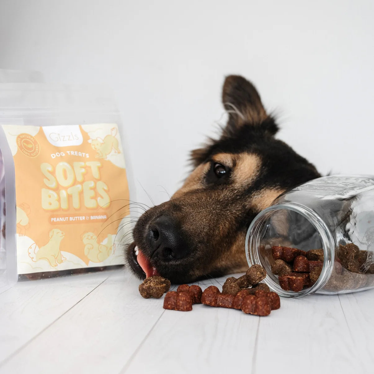 Gizzls Soft Bites Bundle