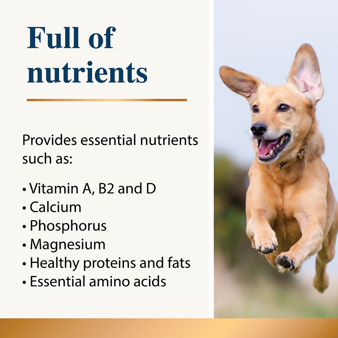 Whole Goat Milk Powder for Dogs & Cats