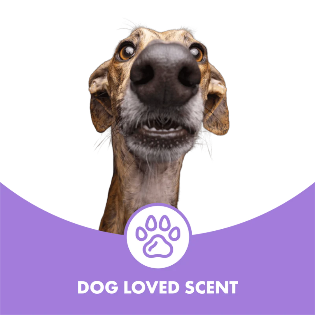 Conditioning Shampoo For Short Coat Dogs