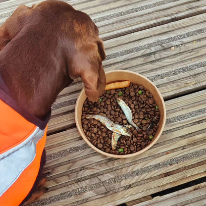 Fish & Chips Dog Bowl