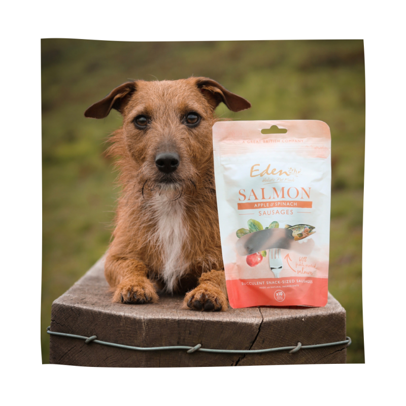 Eden Salmon, Apple & Spinach Sausages 10pc