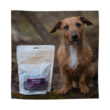 Eden Venison & Sage Training Treats 80G