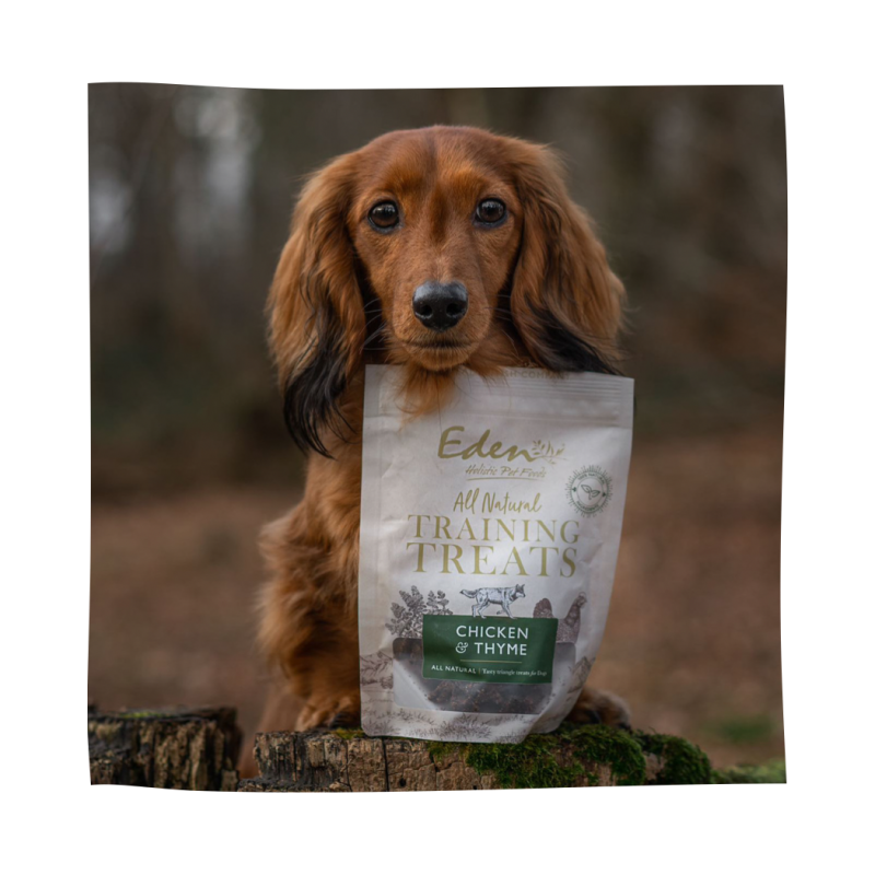 Eden's Chicken & Thyme Training Treats 80G