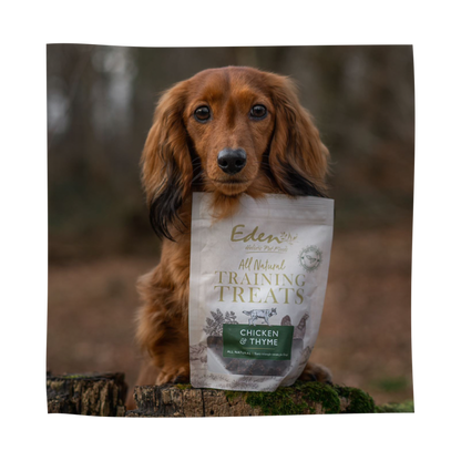 Eden's Chicken & Thyme Training Treats 80G