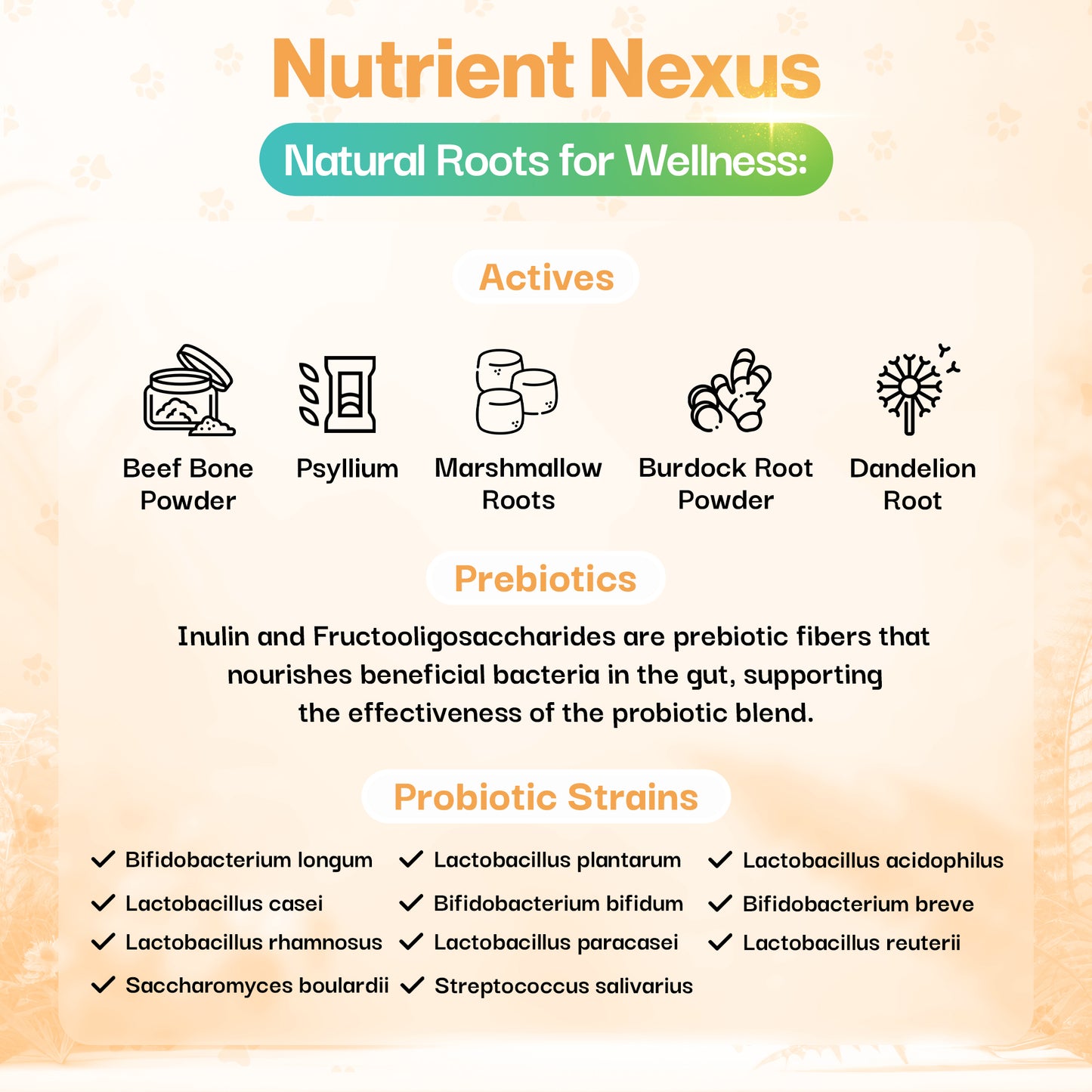 Recovery Probiotic For Pets