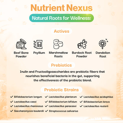 Recovery Probiotic For Pets