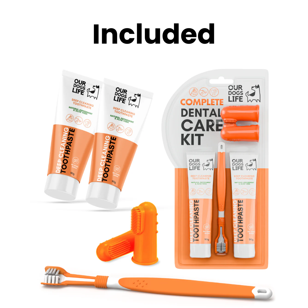 Dental Solution Kit for Dogs