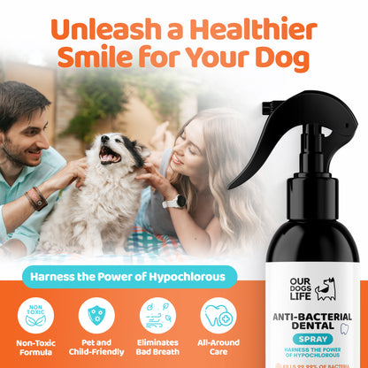 Dog Dental Spray