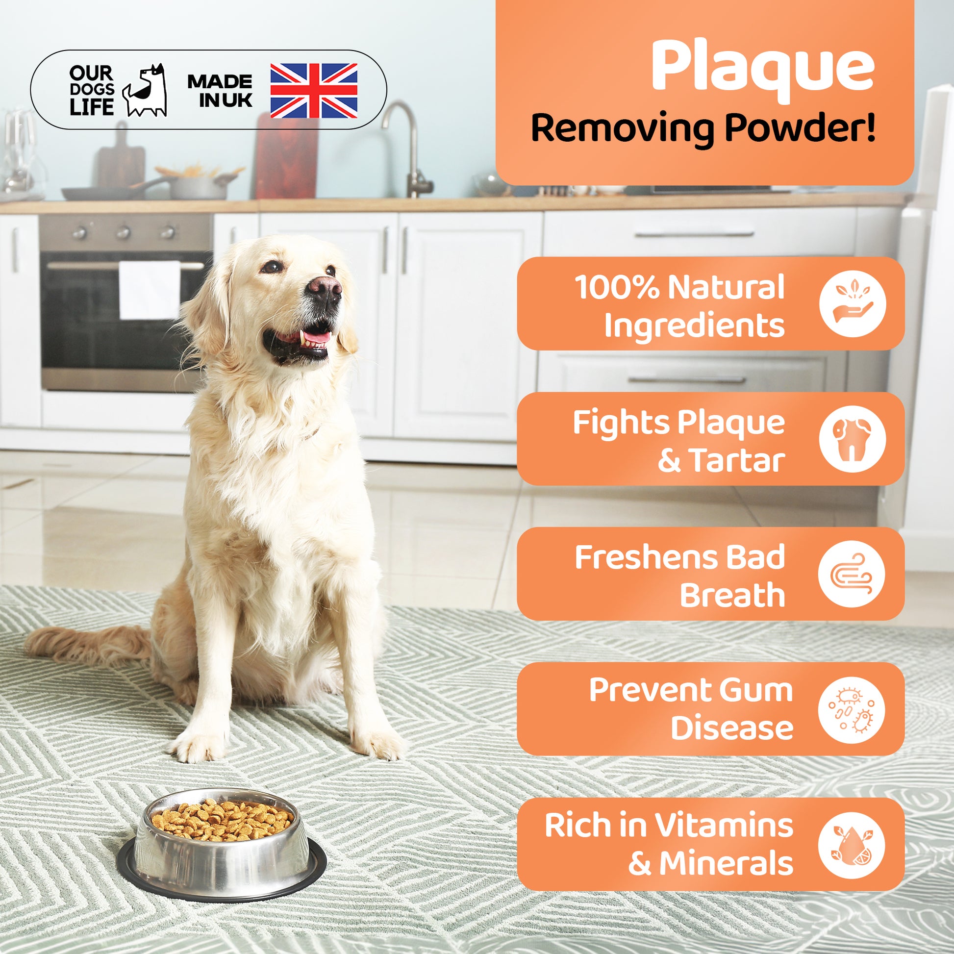 Dental Disease Best Dog Food For Periodontal Disease Plaque