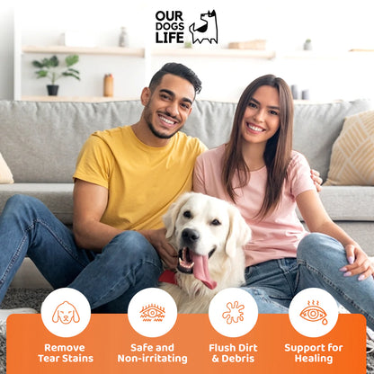 Dog Eye Drops Bundle