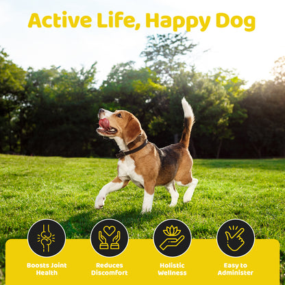 Joint & Hip Supplement Drops for Dogs