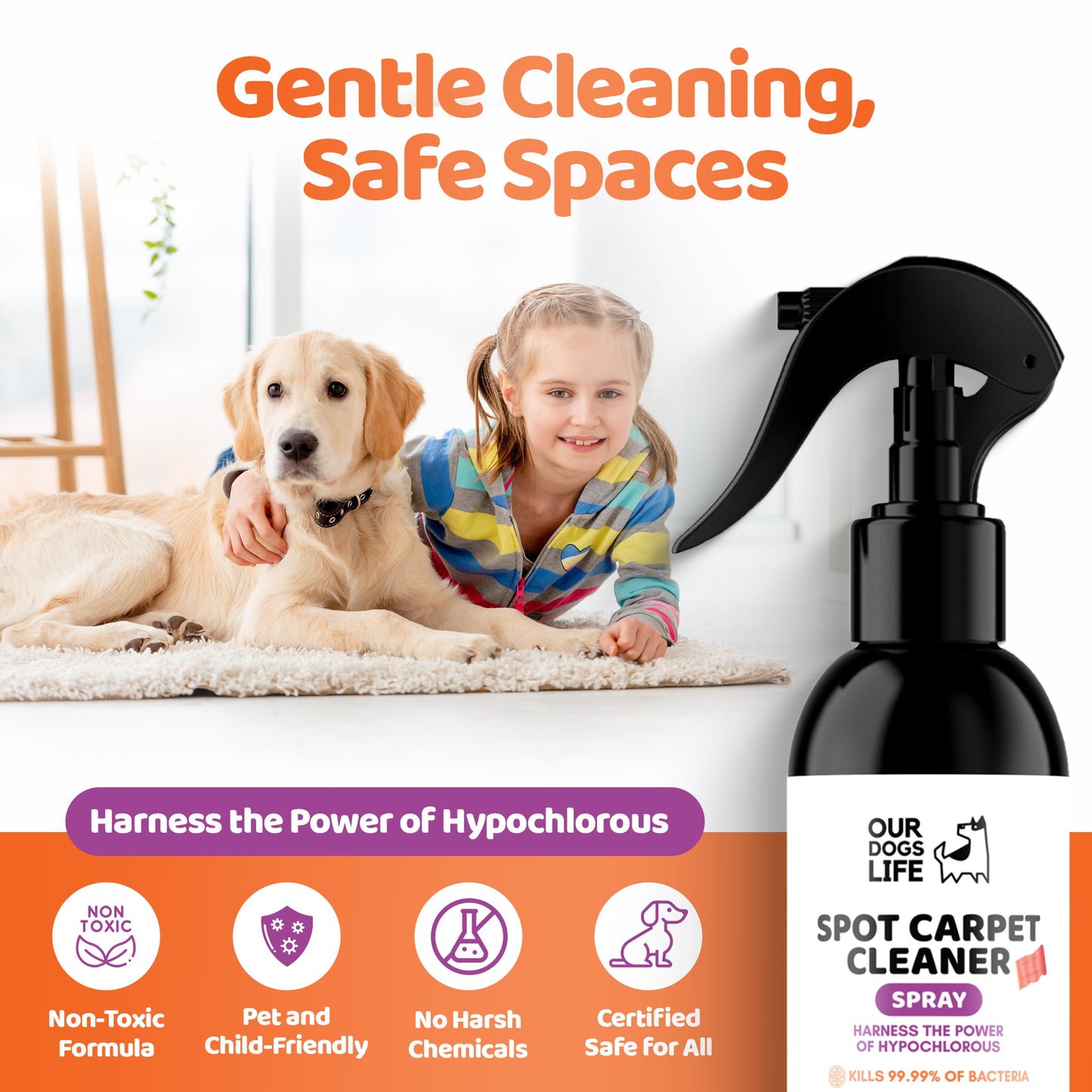 Pet Carpet Spot Cleaner