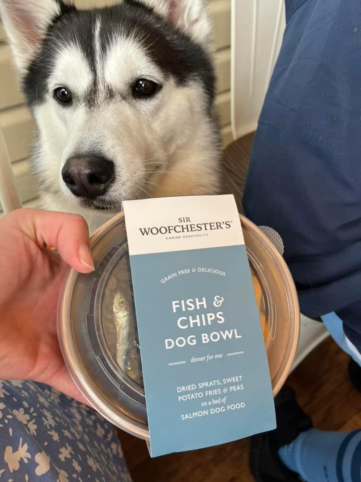 Fish & Chips Dog Bowl