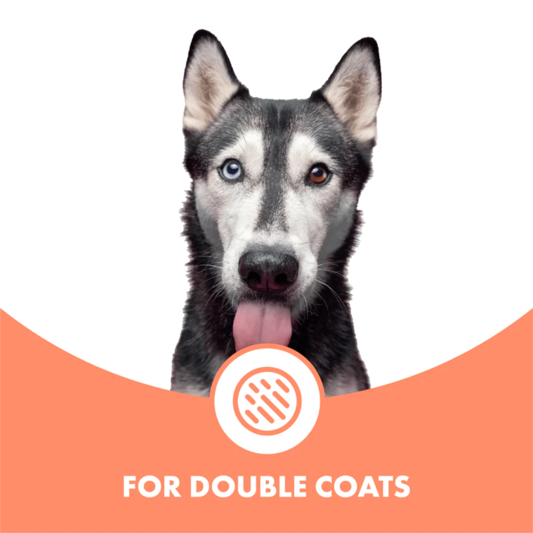 Conditioning Dog Shampoo for Double Coats