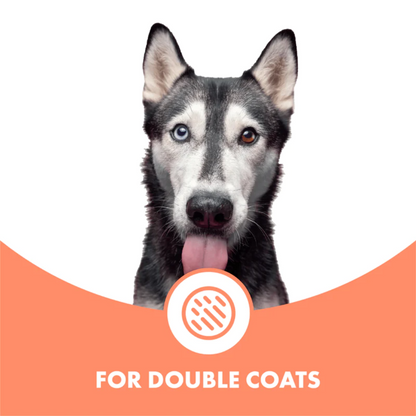 Conditioning Dog Shampoo for Double Coats