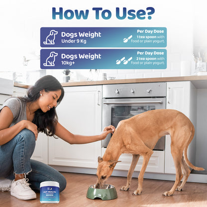 Gut Health Powder Supplement for Dogs