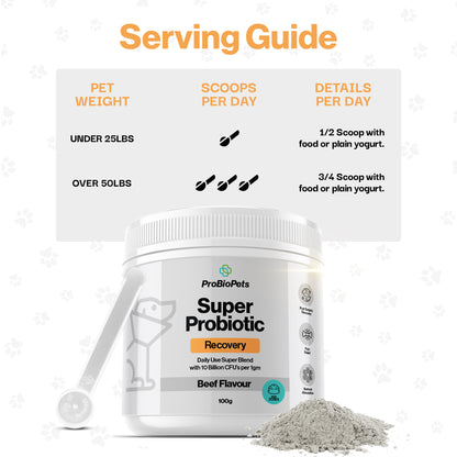 Recovery Probiotic For Pets