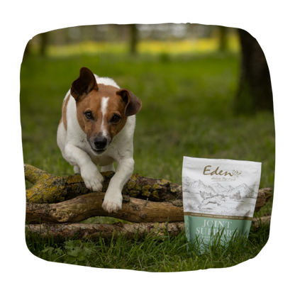 Eden Joint Support for Dogs