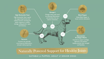 Eden Joint Support for Dogs