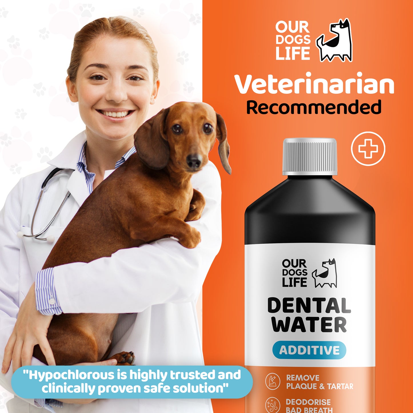 Dog Dental Formula