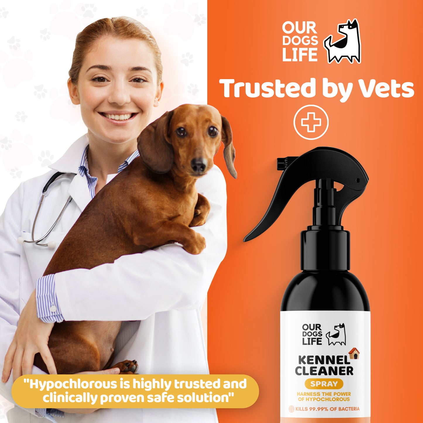 Kennel Cleaner Disinfectant for Dogs