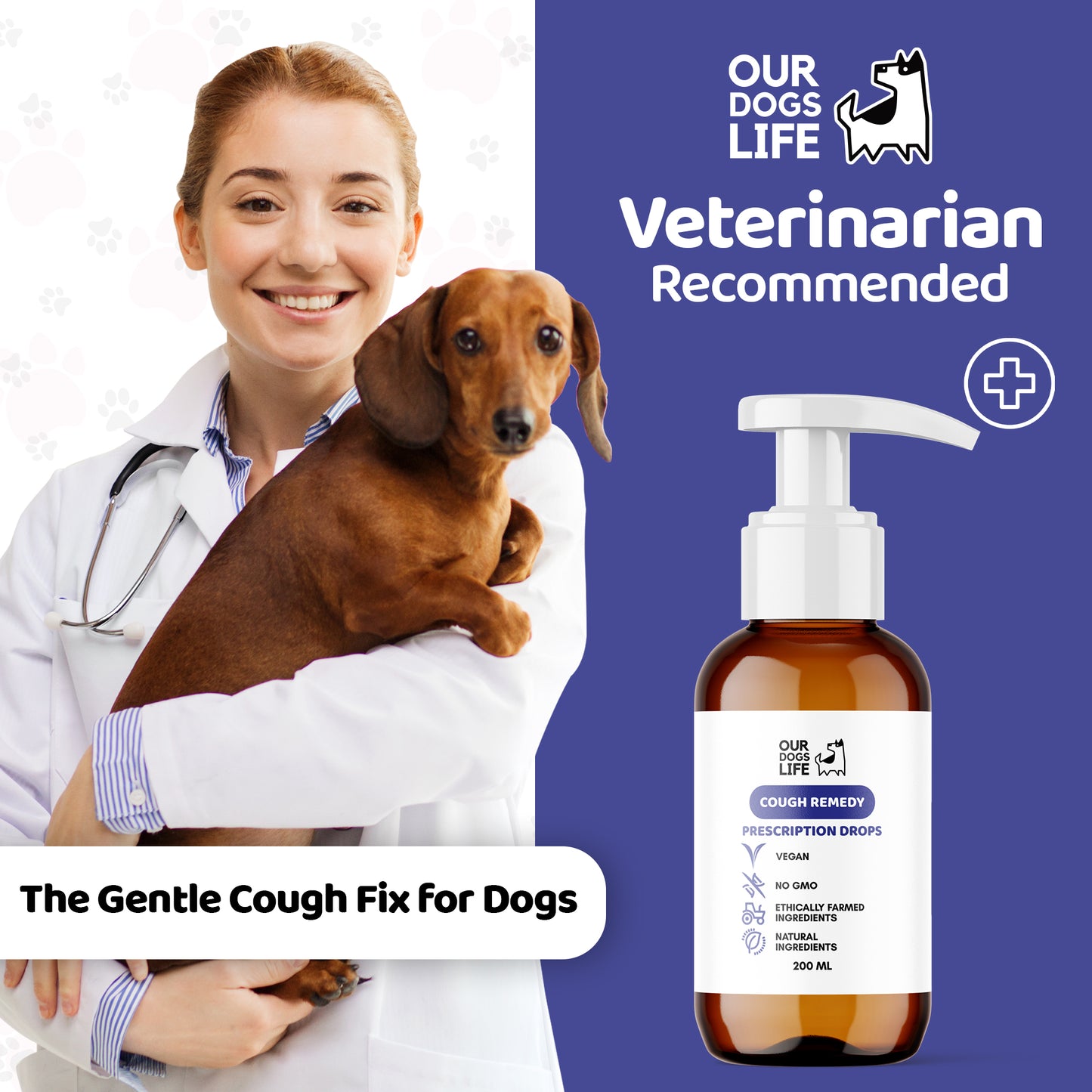 Kennel Cough Treatment for Dogs