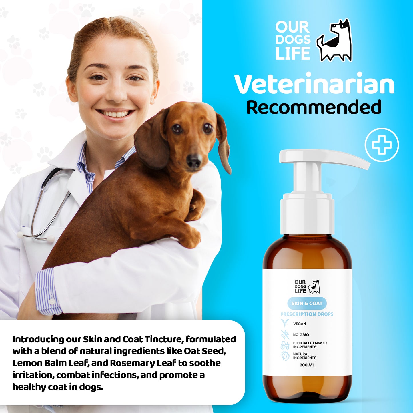Dog Skin & Coat Supplement