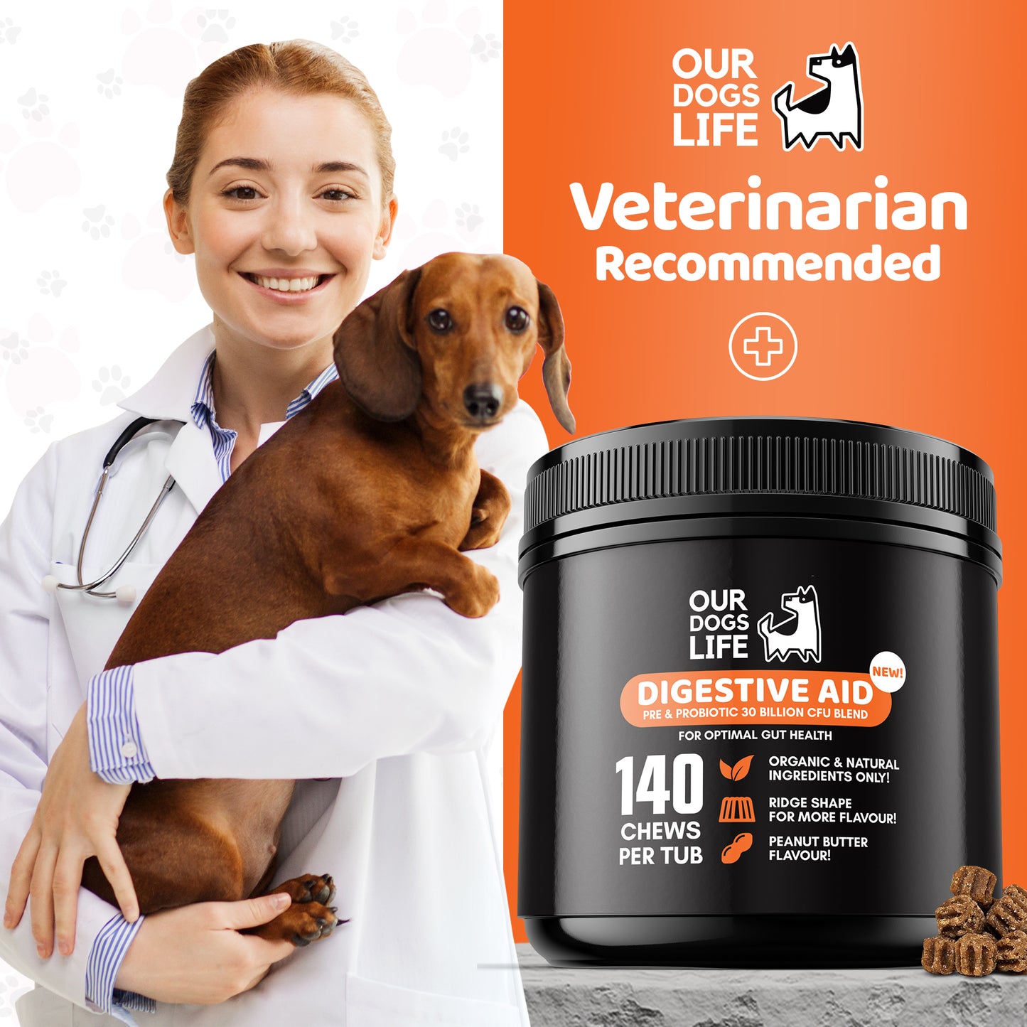 Digestive Supplements for Dogs