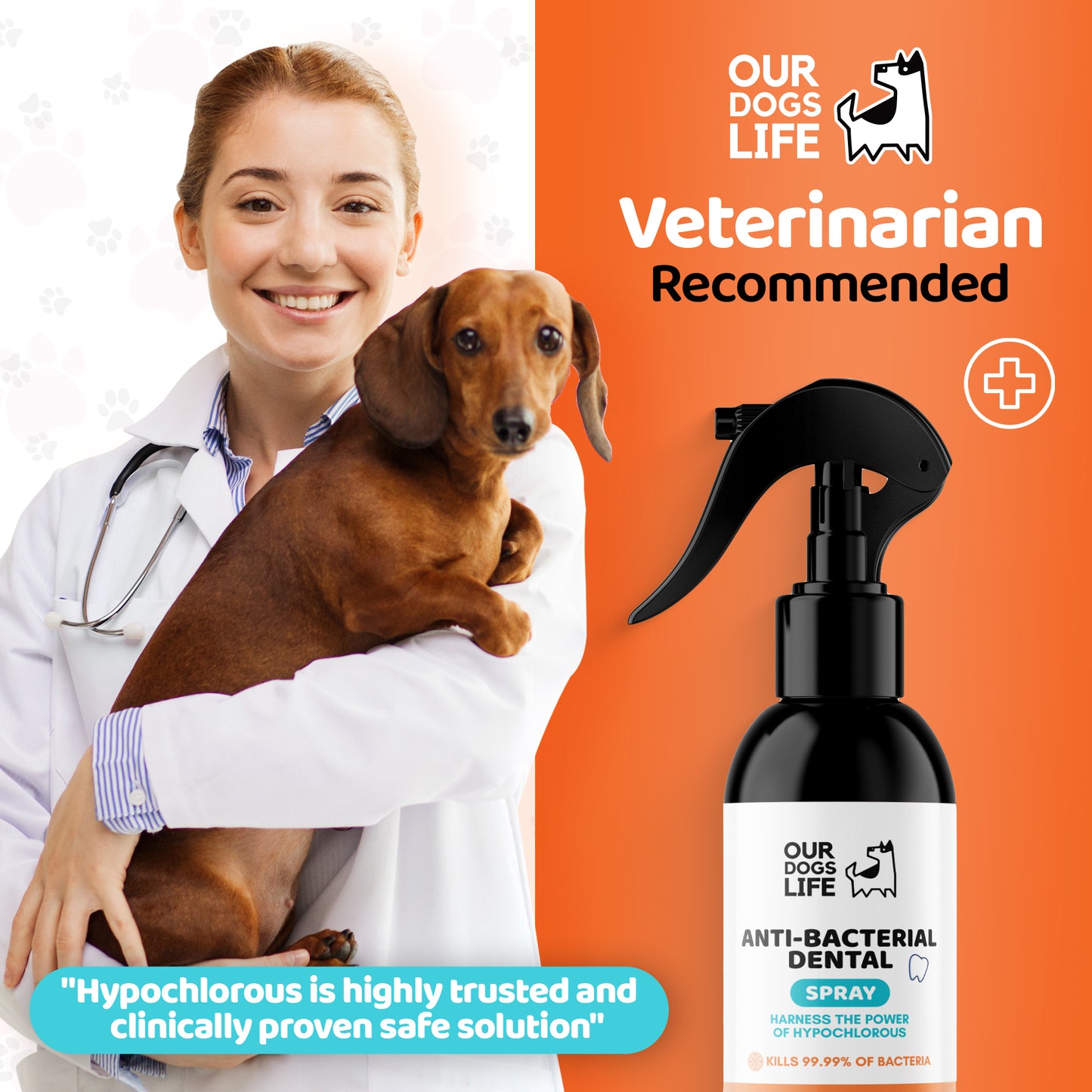 Dog Dental Spray