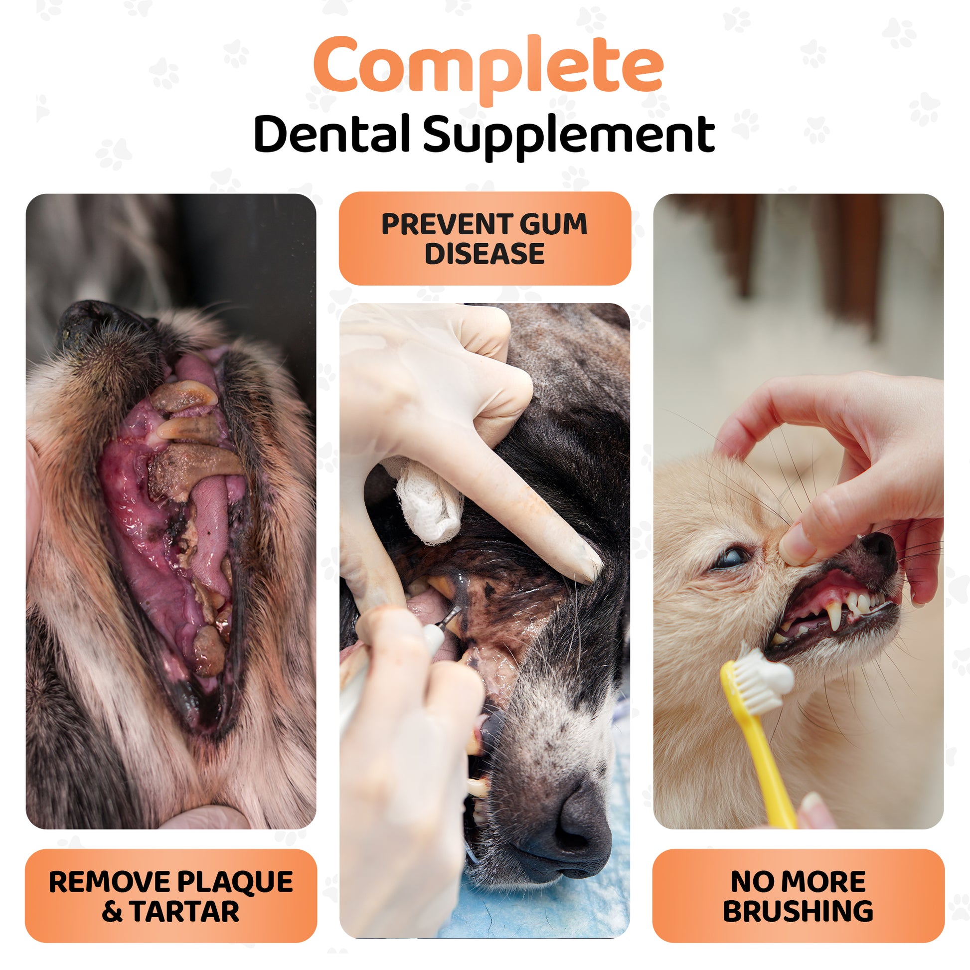 Medipaws Cleaning Plaque Off Dog's Teeth MediPaws® Plaque Off