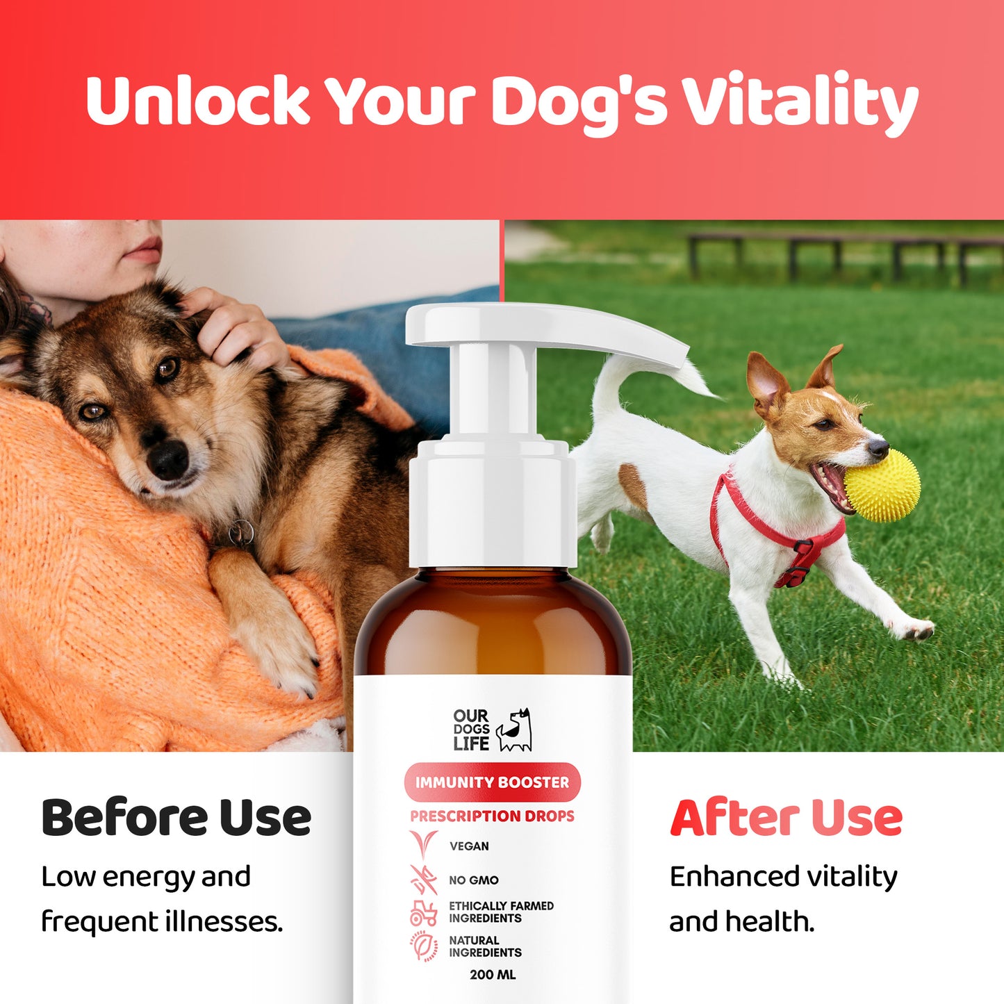 Liquid Multivitamin for Dogs