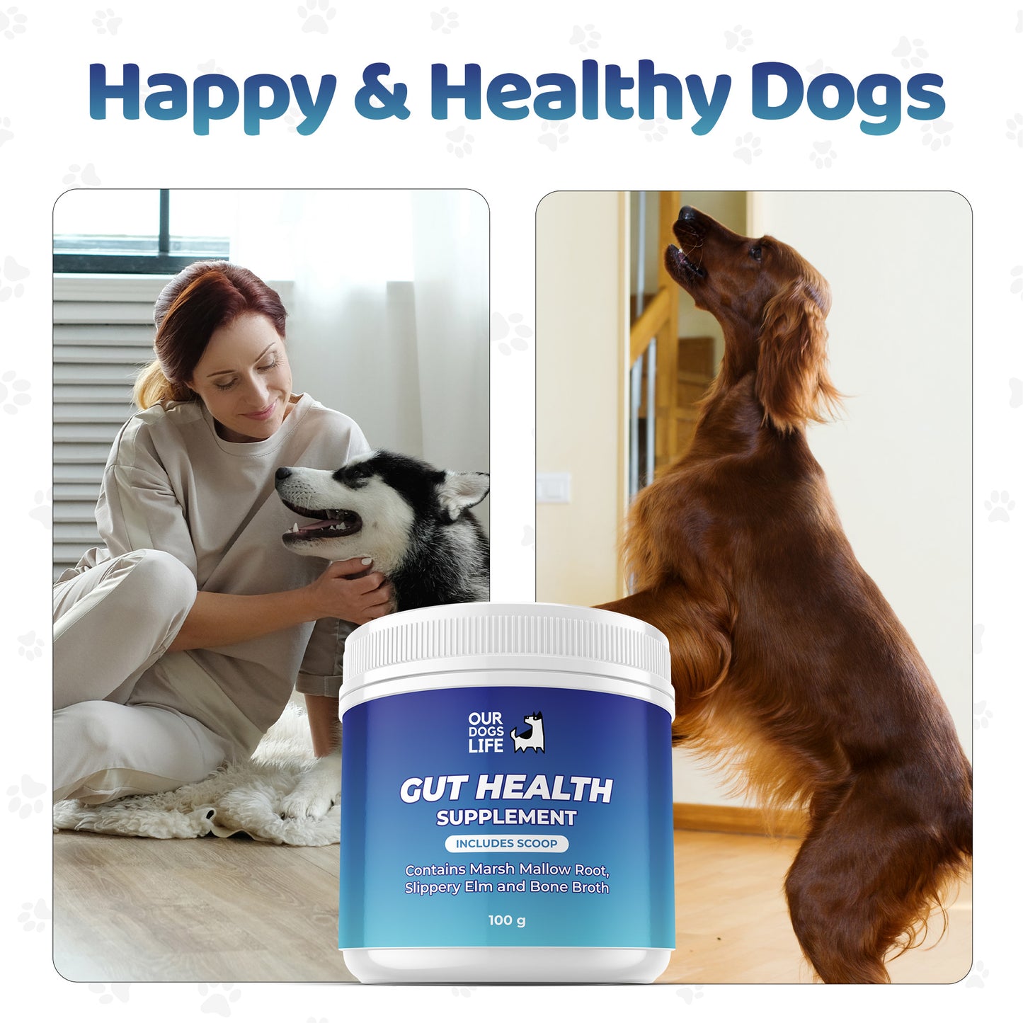 Gut Health Powder Supplement for Dogs