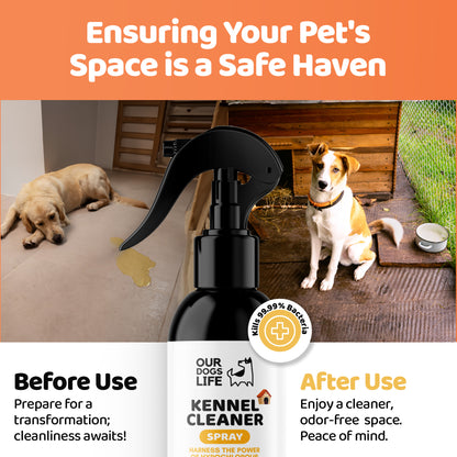 Kennel Cleaner Disinfectant for Dogs