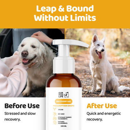 Dog Recovery Supplement Drops