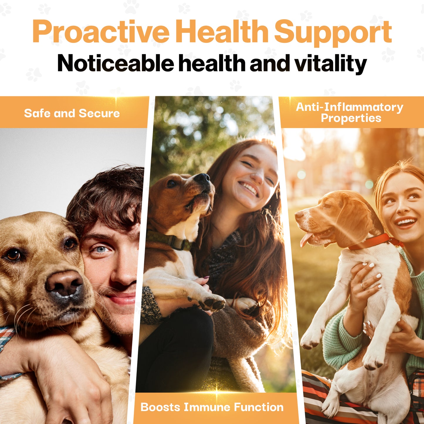 Recovery Probiotic For Pets