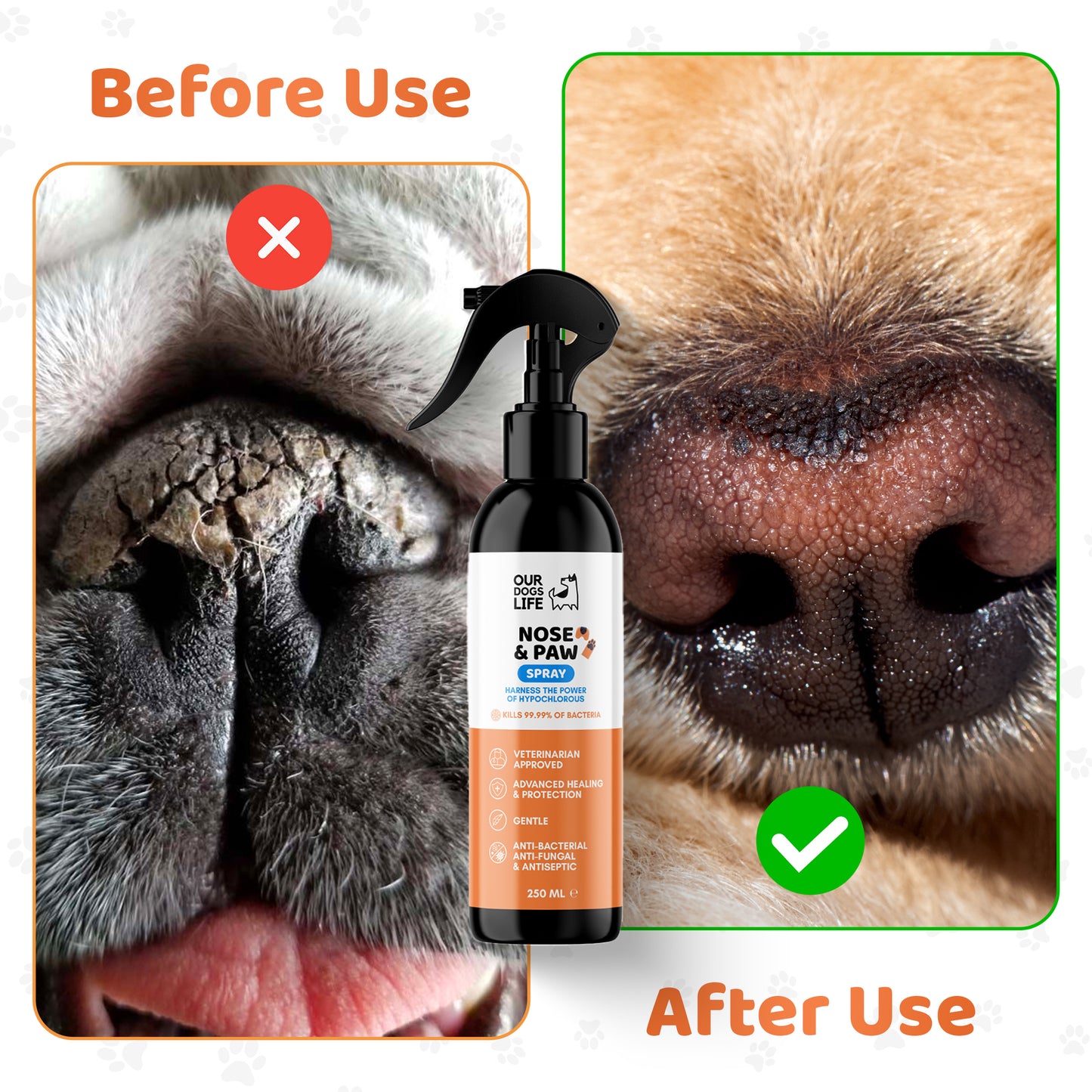 Dog Paw & Nose Cleaner Spray