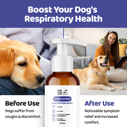 Kennel Cough Treatment for Dogs