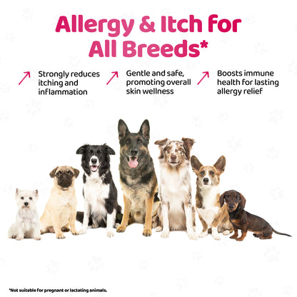 Dog Itch & Allergy Relief