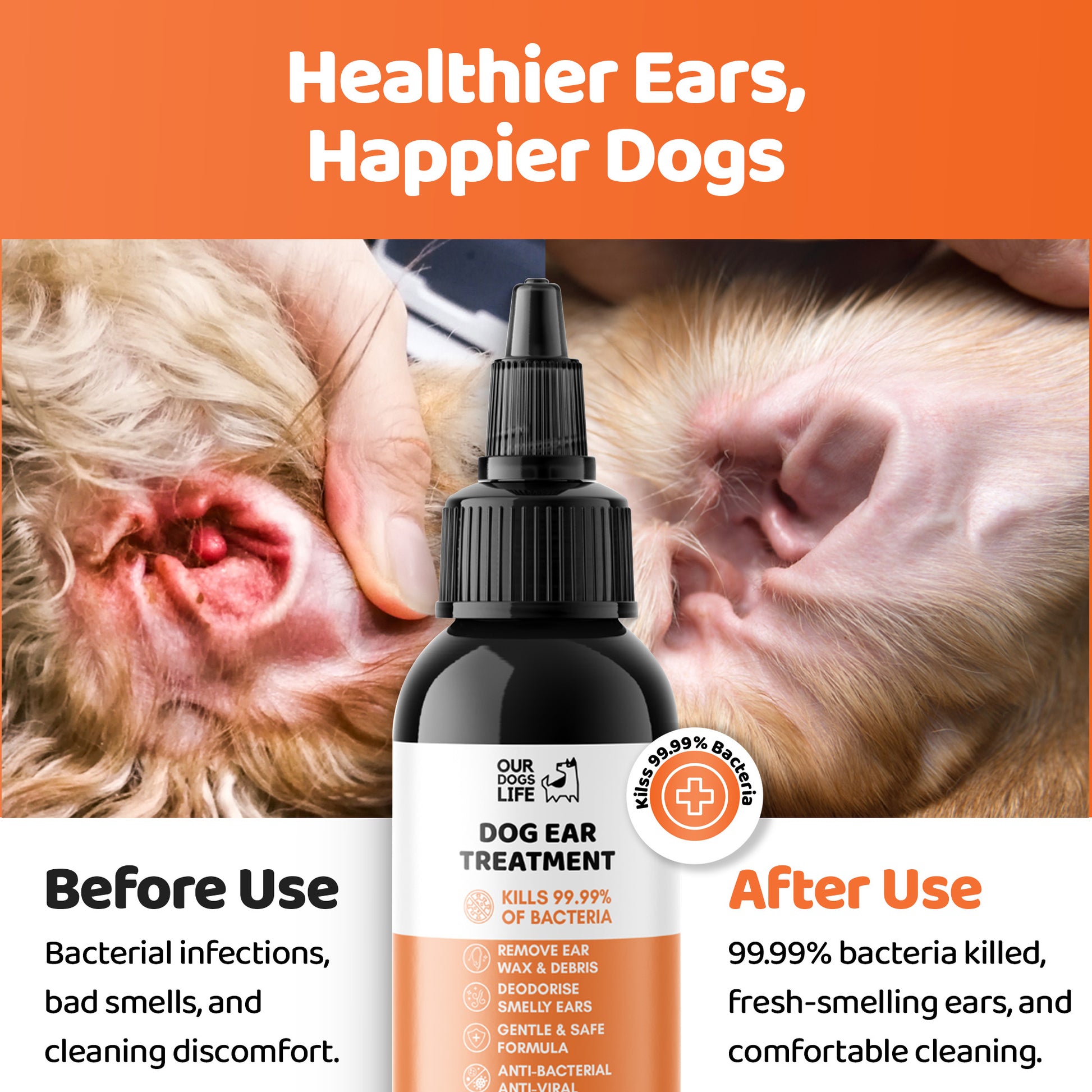 Home Remedies For Dog Ear Infection Solution Dog Ear Infections PetMD