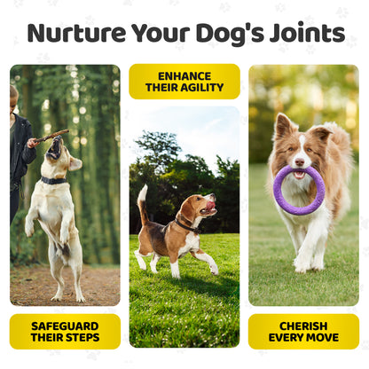 Joint Care Chews for Dogs