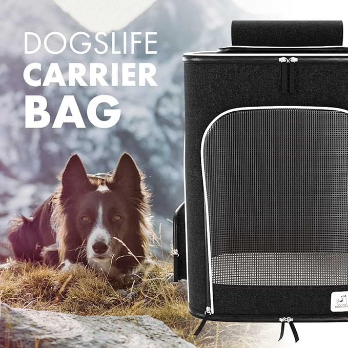 Dog Backpack Carrier