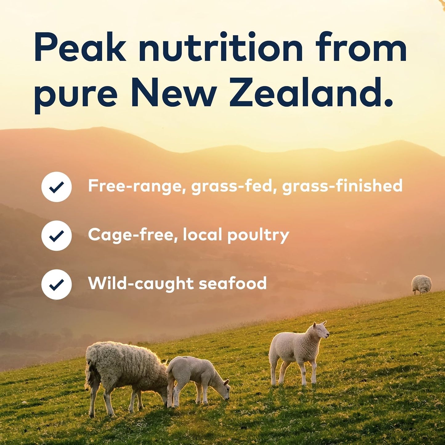 ZIWI Peak Dog Steam & Dried Chicken
