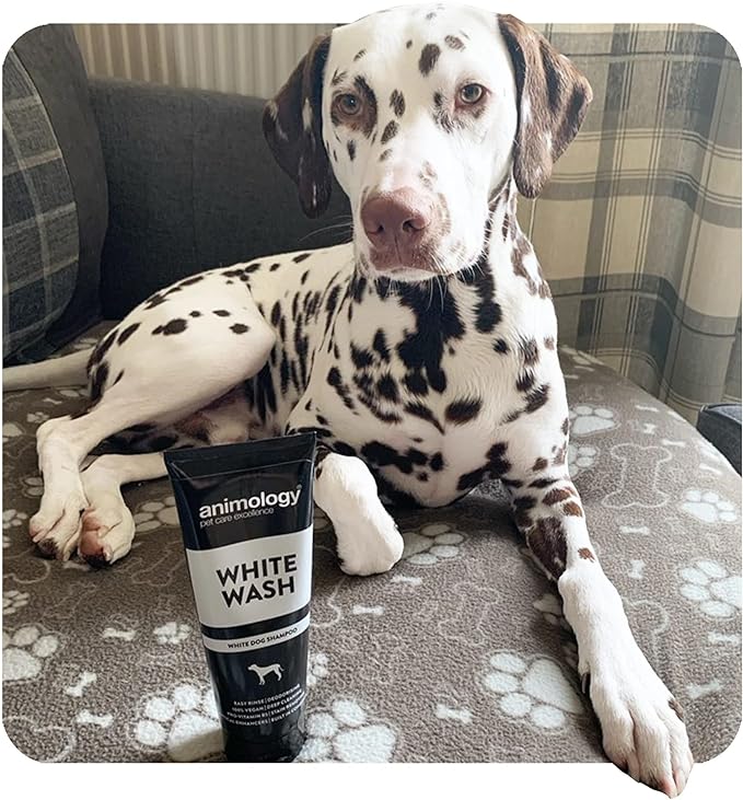 White wash dog shampoo hotsell
