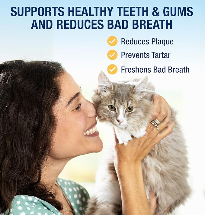 ProDen PlaqueOff® Powder for Cats 40g