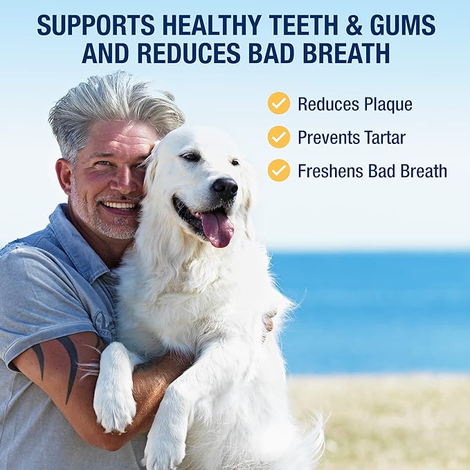 Proden PlaqueOff Powder for Dogs & Cats 60g